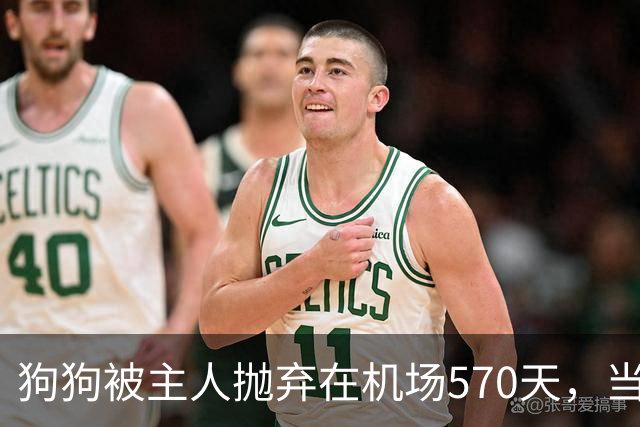 狗狗被主人抛弃在机场570天，当主人回来接它时，看哭了所有人
