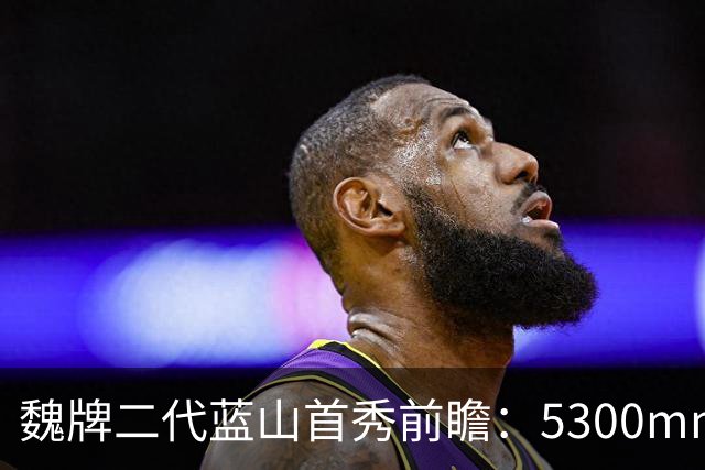 魏牌二代蓝山首秀前瞻：5300mm的方盒子、装了一套2.0T四挡混动